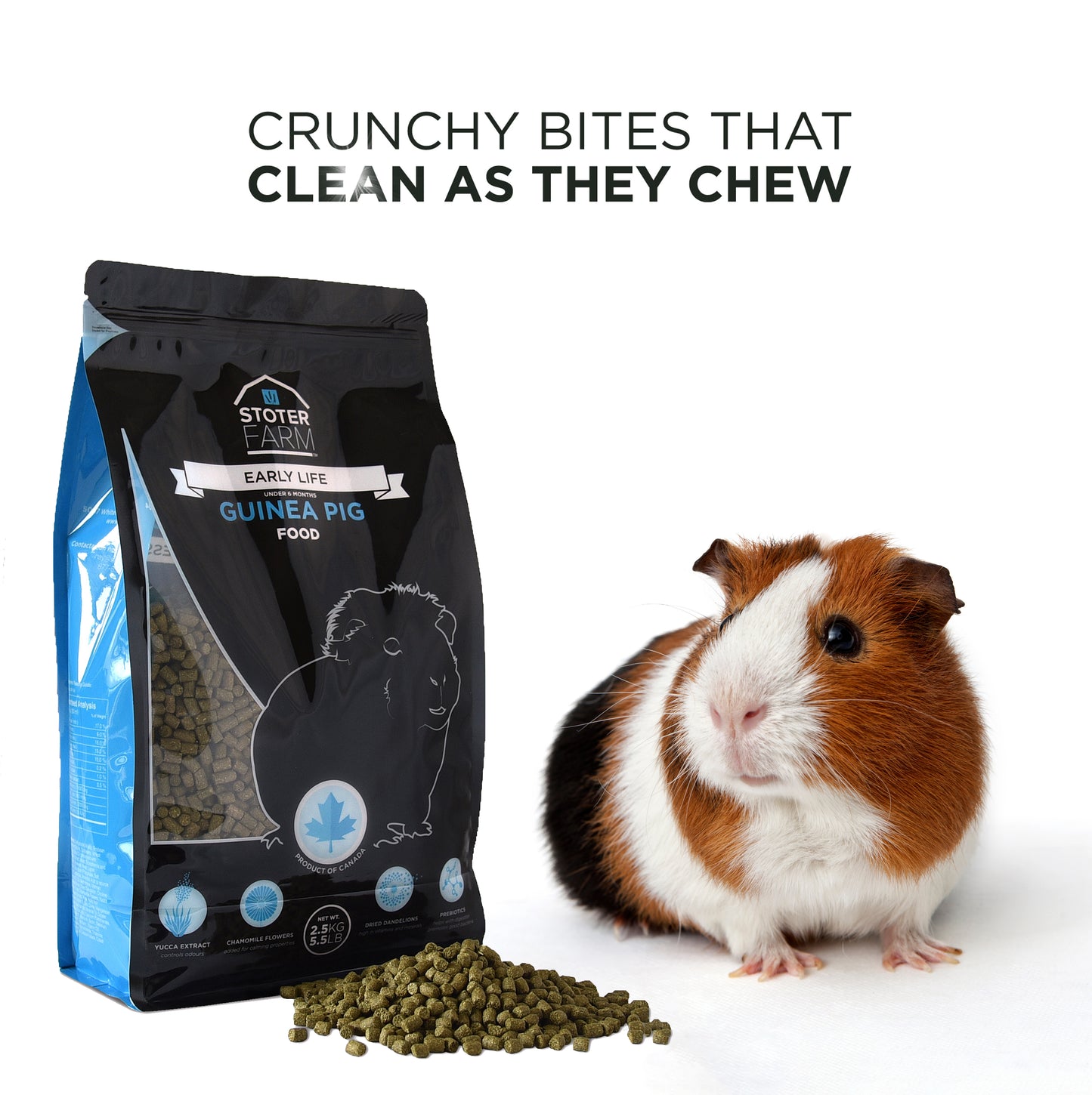 Stoter Farm Early Life Guinea Pig Food (2.5kg/5.5lb)