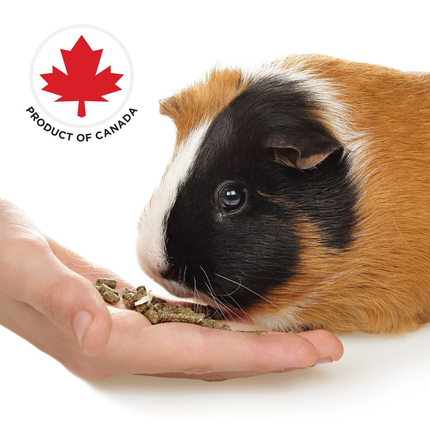 Stoter Farm Timothy Enriched Guinea Pig Food (2.5kg/5.5lb)