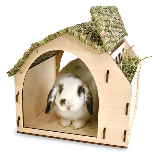 The Barn Pet House