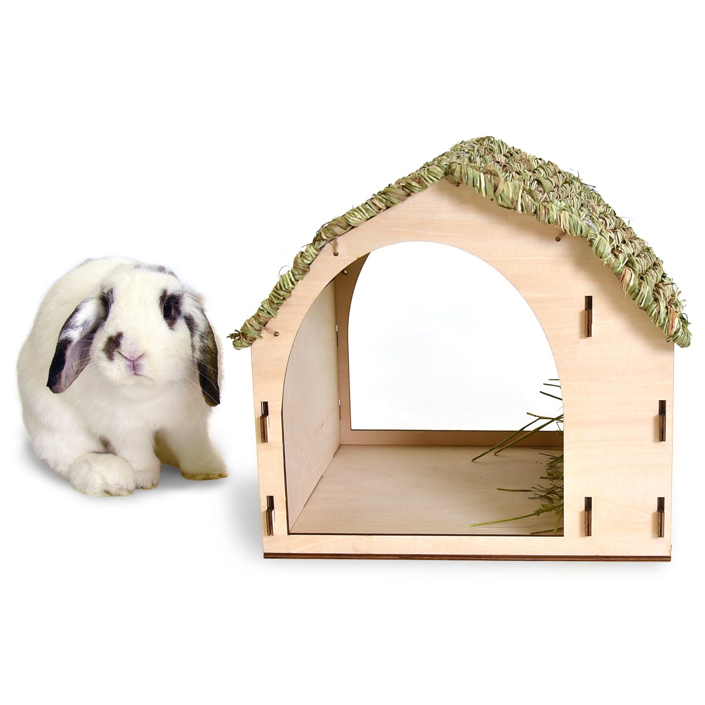 The Barn Pet House