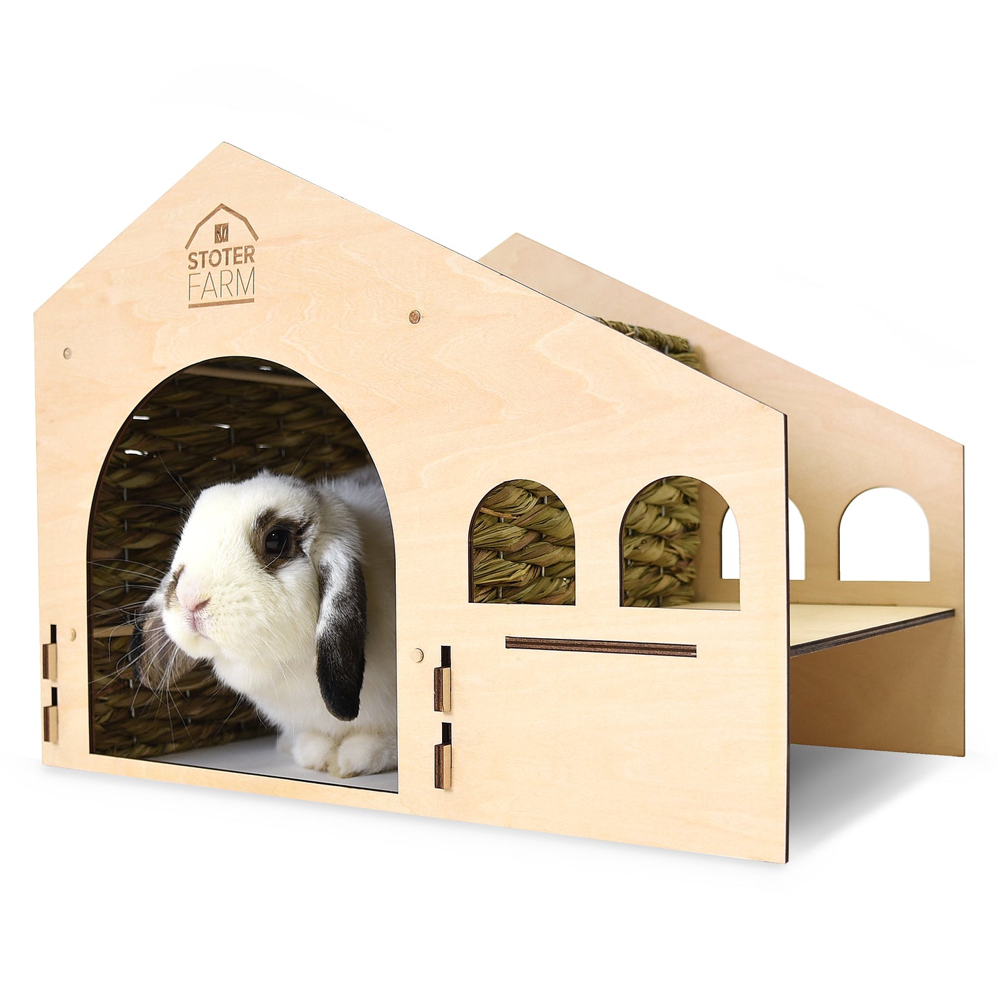 Roof Top Condo Pet House