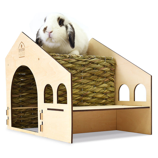 Roof Top Condo Pet House