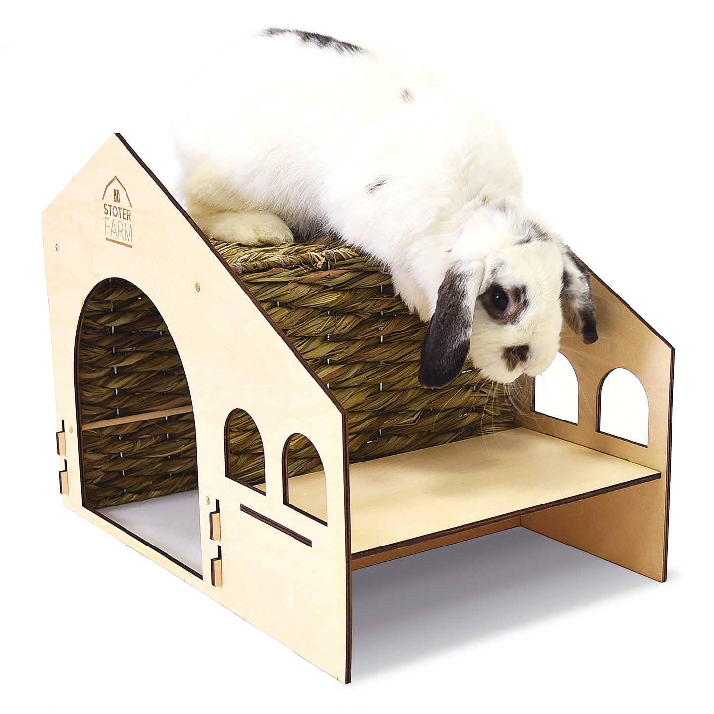 Roof Top Condo Pet House