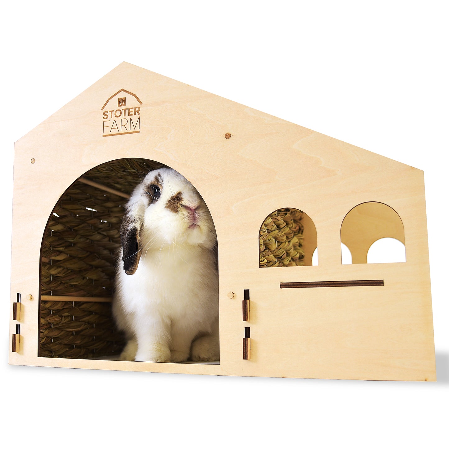 Roof Top Condo Pet House