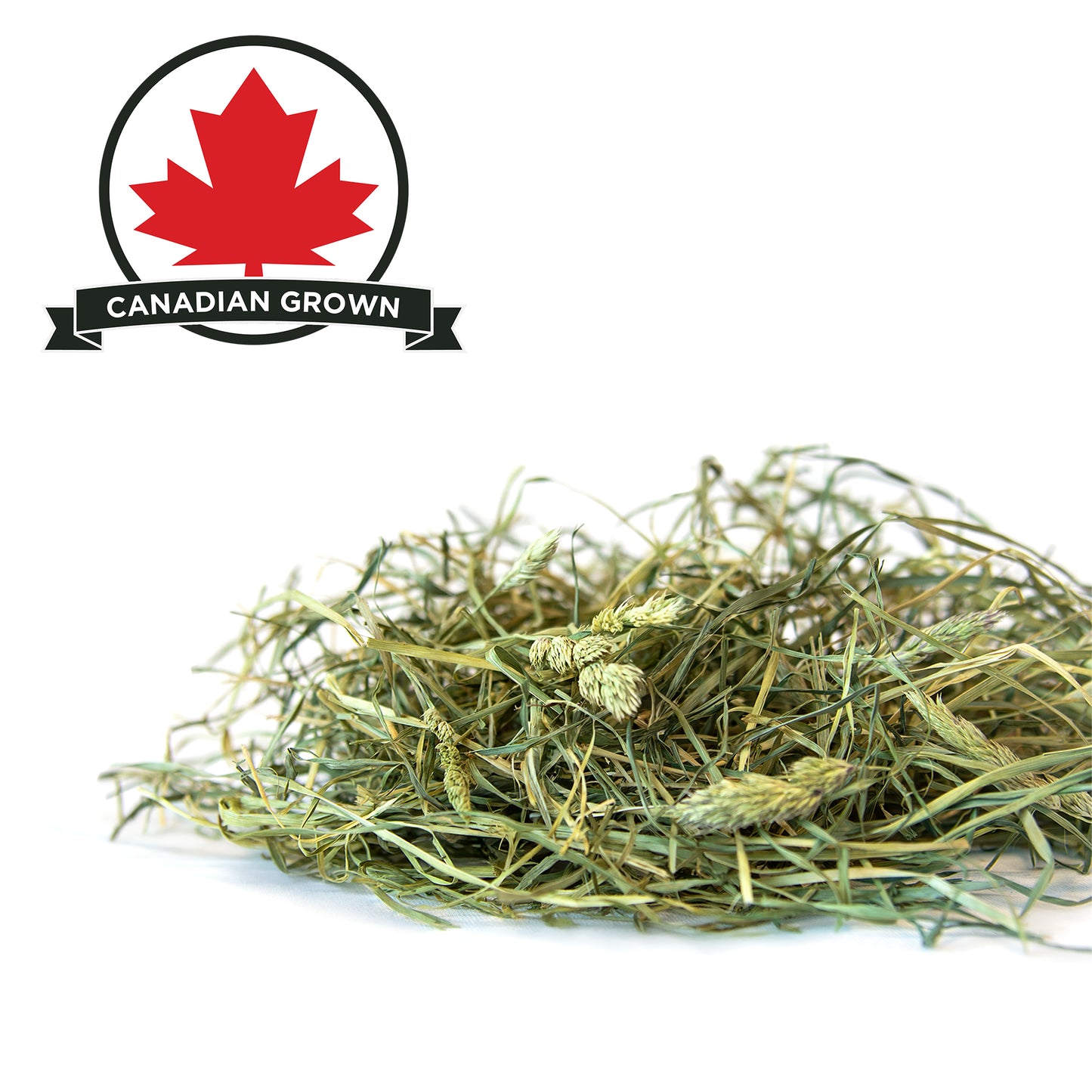 Stoter Farm Hay – Premium Orchard Grass (100oz/2.8kg)