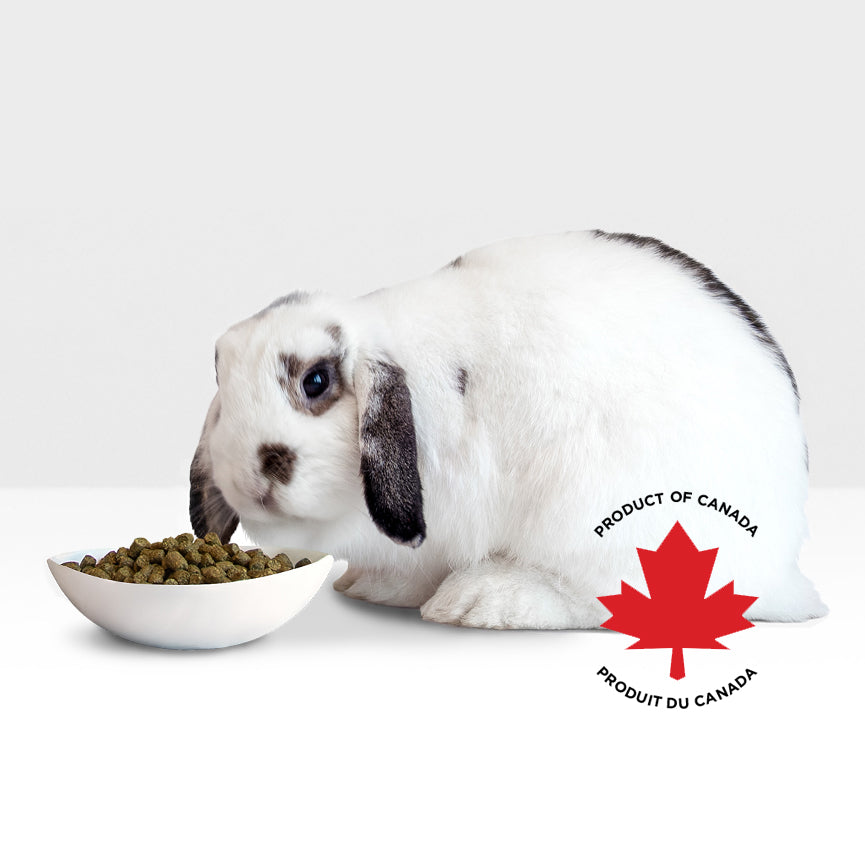 Stoter Farm Timothy Enriched Adult Rabbit Food (5kg/11lb)