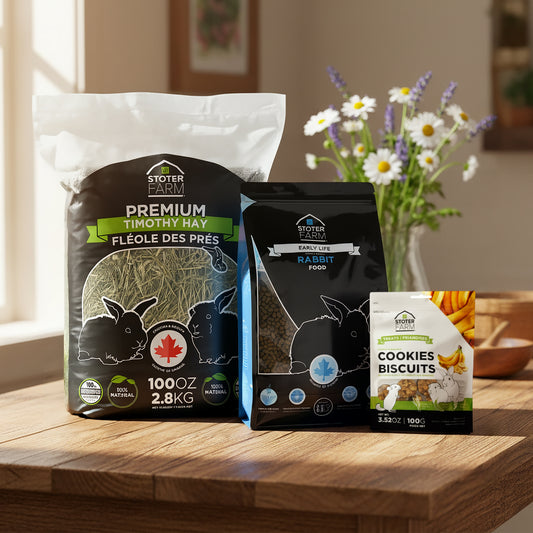 Stoter Farm Holiday Bundle for Early Life Guinea Pigs