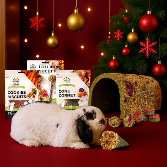 Stoter Farm Holiday Bundle - Snacks & Treats with Tunnel