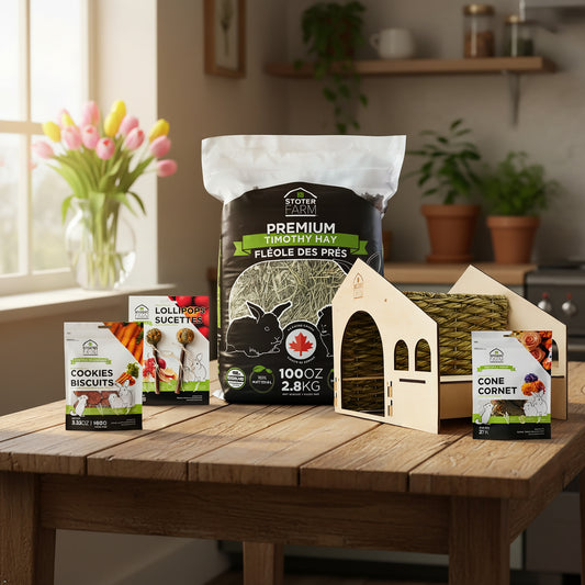 Stoter Farm Holiday Bundle with Roof Top Condo Pet House