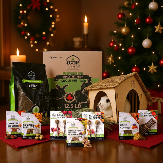 Stoter Farm Holiday Bundle for Adult Rabbits