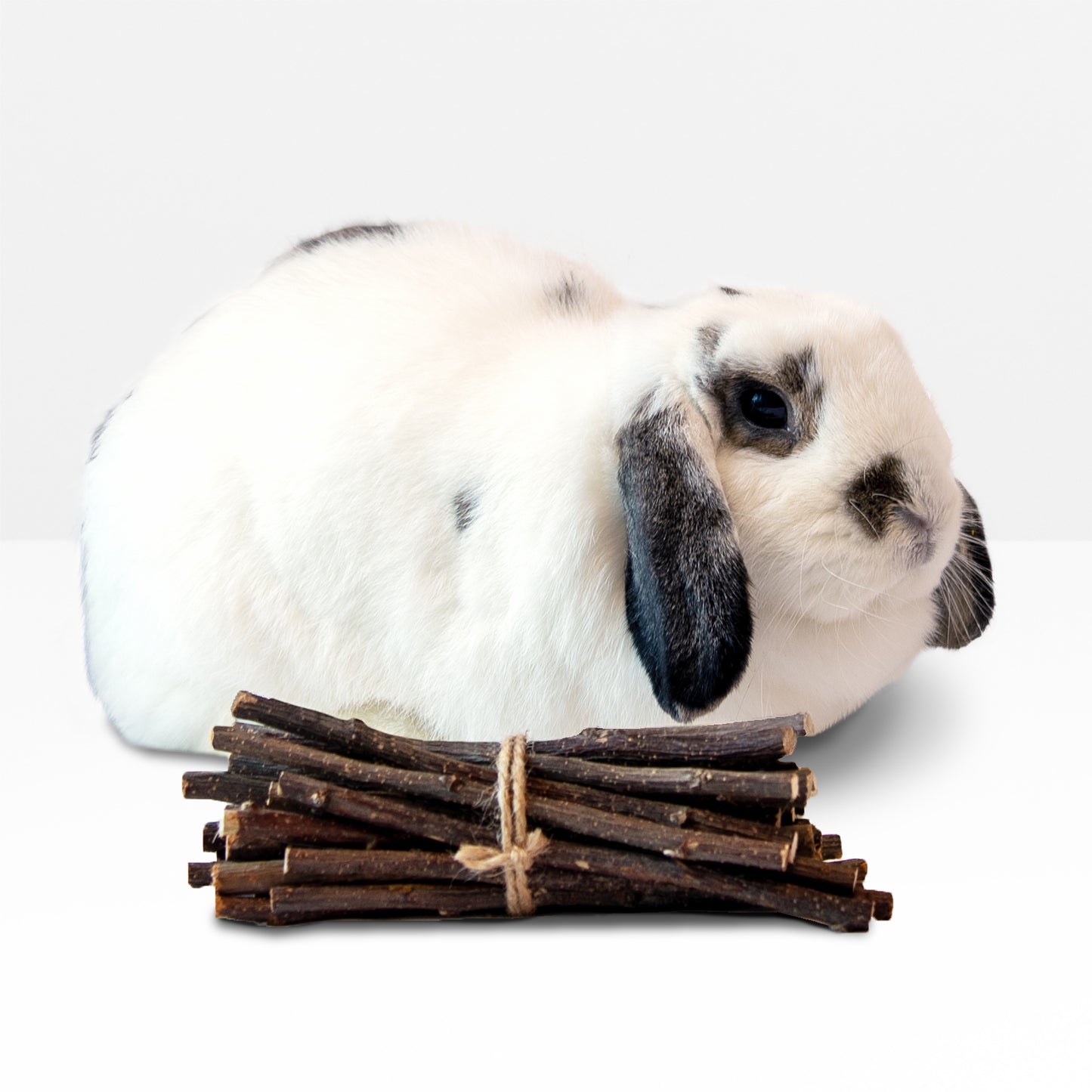 Applewood Stick Snacks (100g/3.5oz)