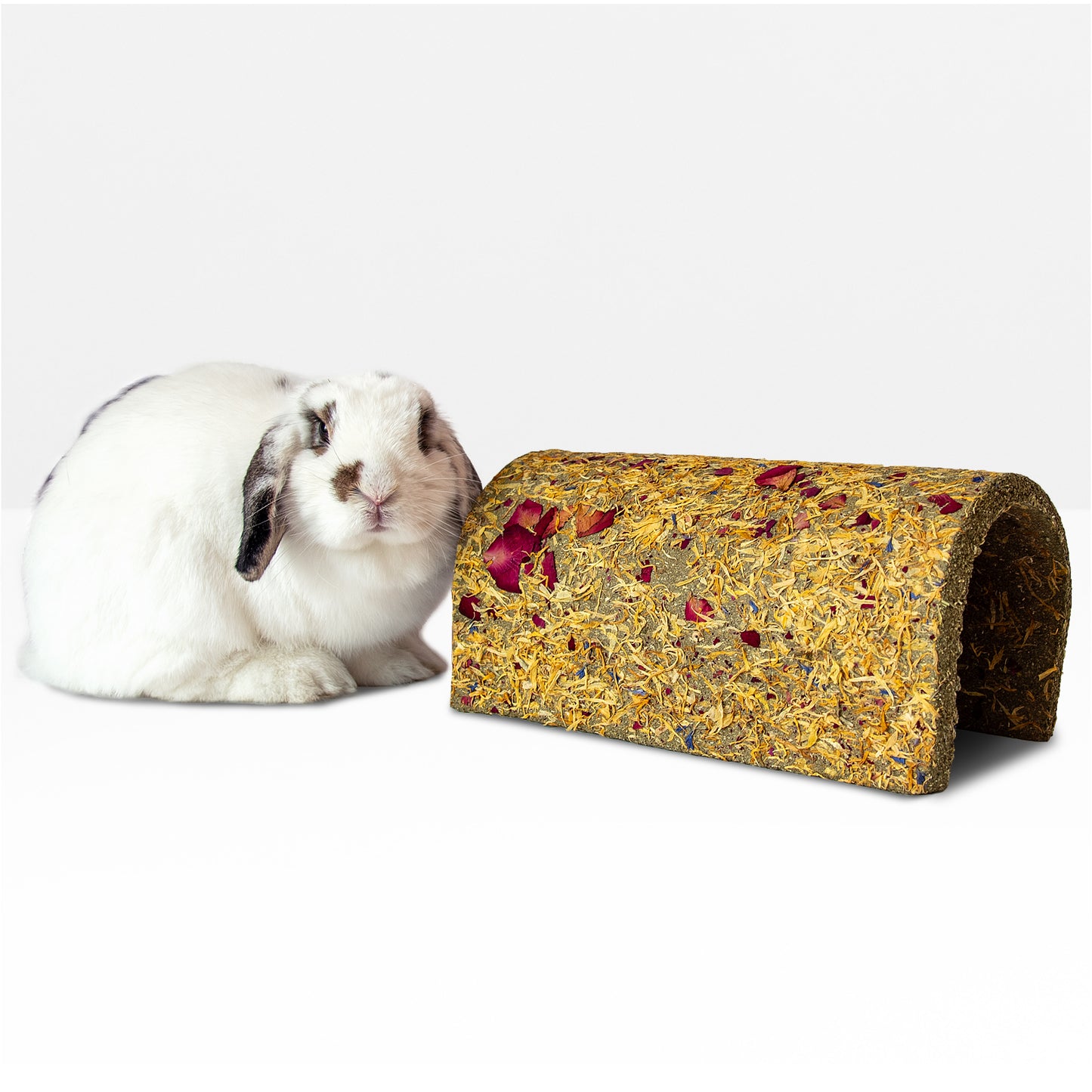 Timothy Flower Tunnel for Snacking and Play