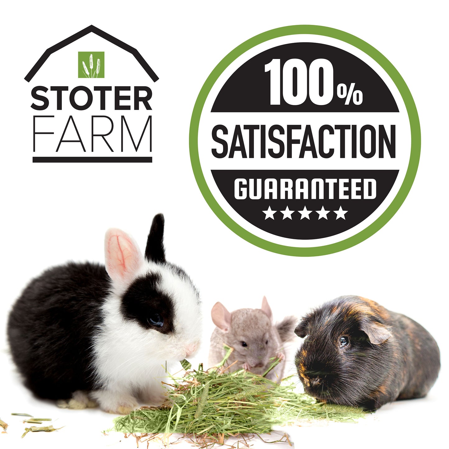 Stoter Farm Hay – Premium Timothy Hay (2.8kg/100oz)