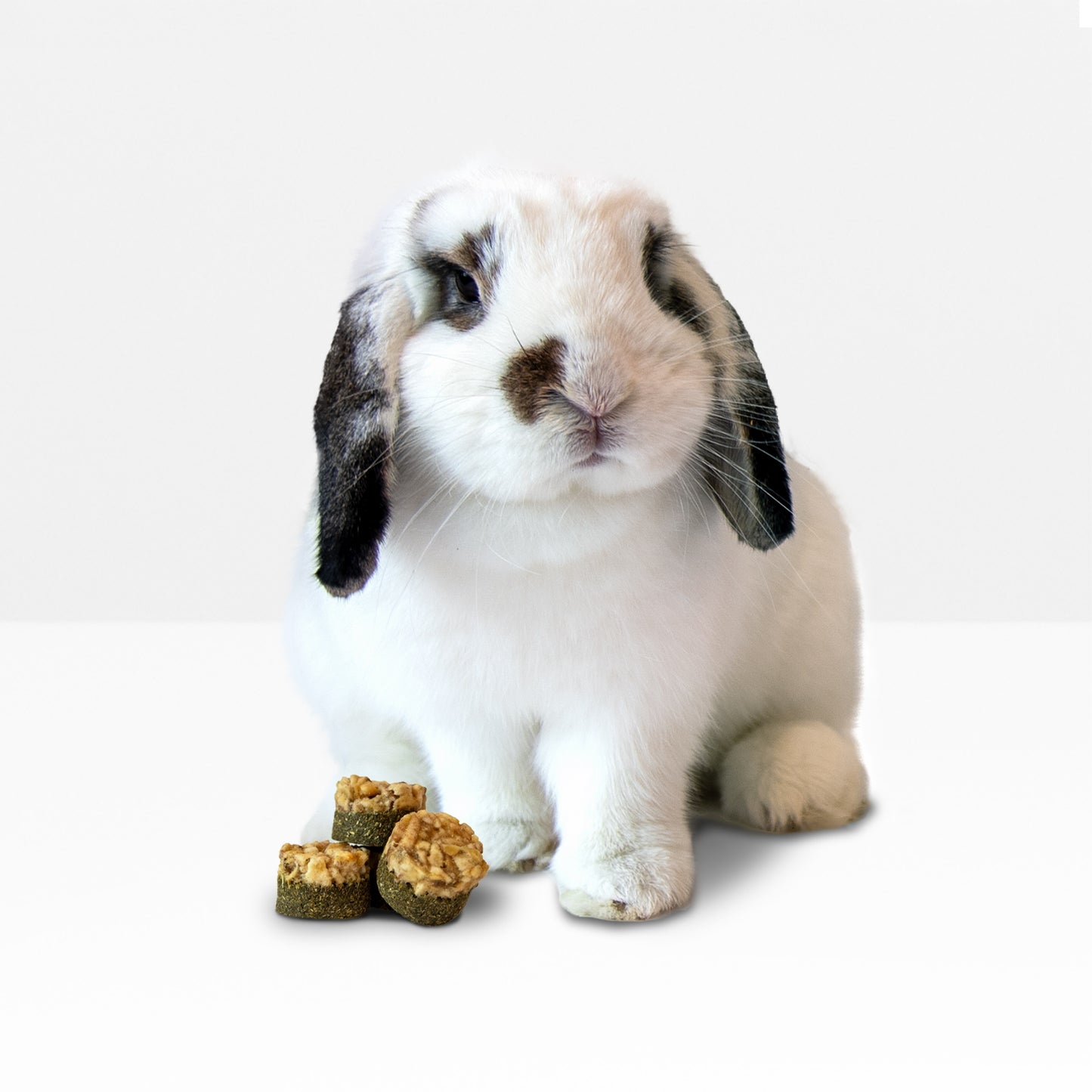 Mini Banana Cookie Treats (100g/3.5oz)
