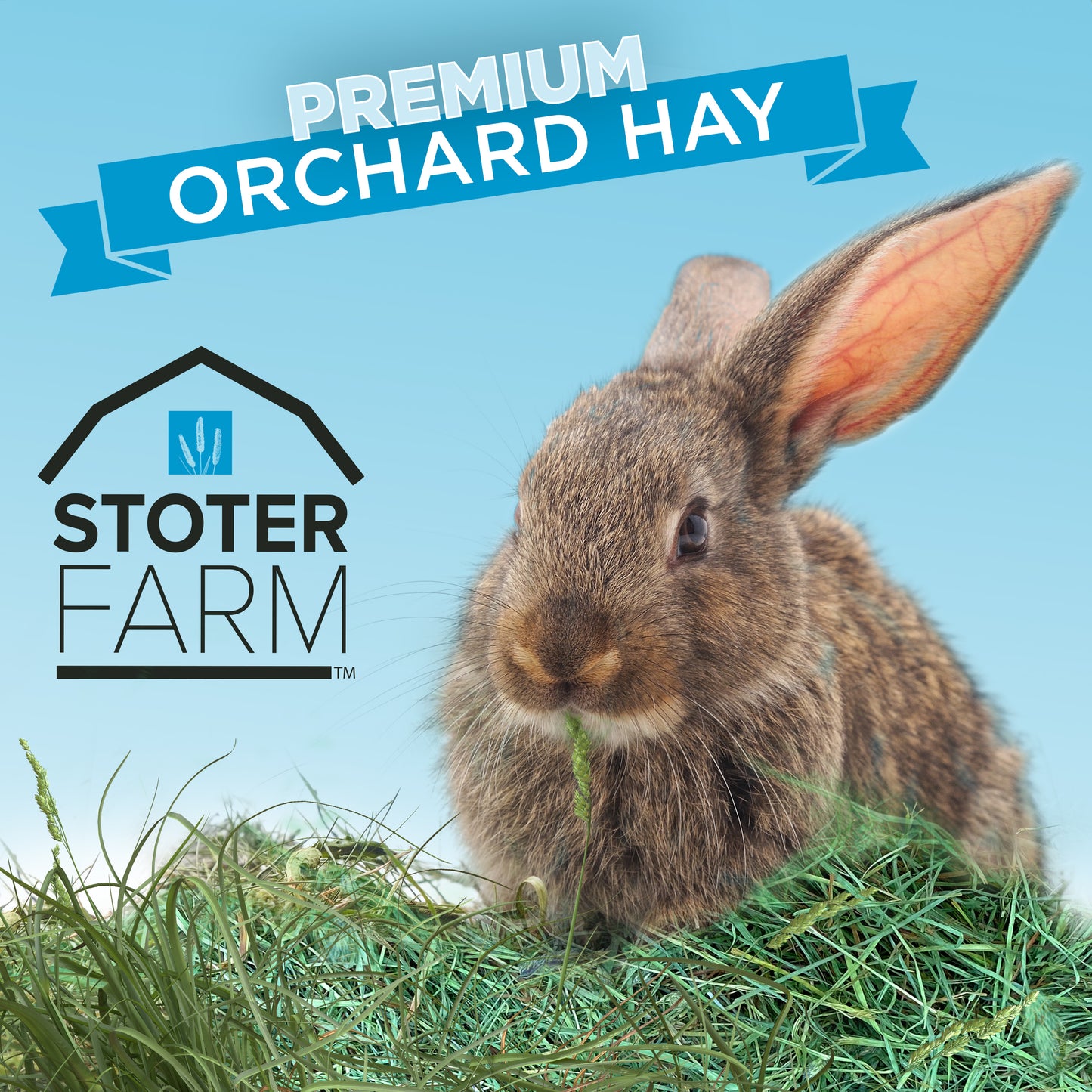 Stoter Farm Hay – Premium Orchard Grass (100oz/2.8kg)