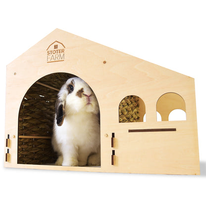 Roof Top Condo Pet House