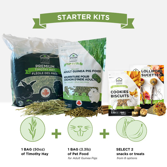 Stoter Farm Starter Kit For Adult Guinea Pigs