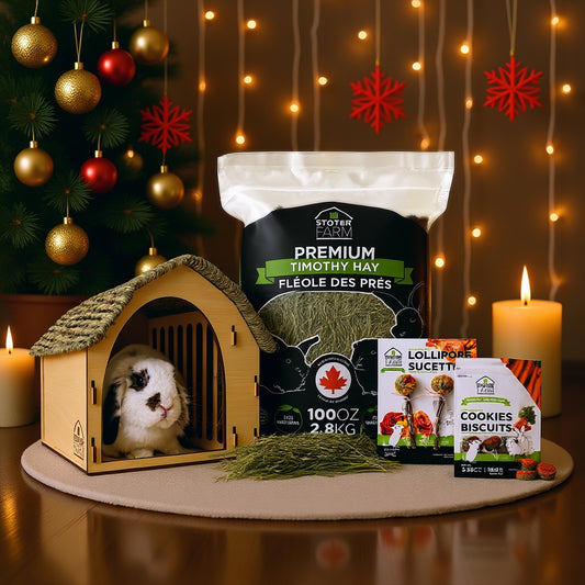 Stoter Farm Holiday Bundle with Barn Pet House