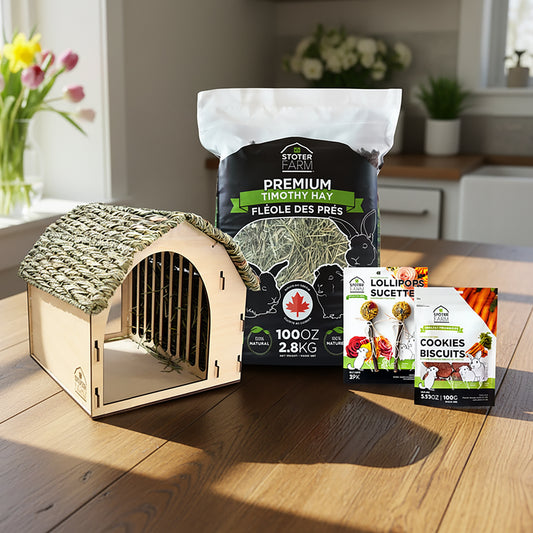 Stoter Farm Holiday Bundle with Barn Pet House