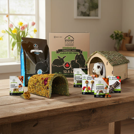 Stoter Farm Holiday Bundle for Early Life Guinea Pigs