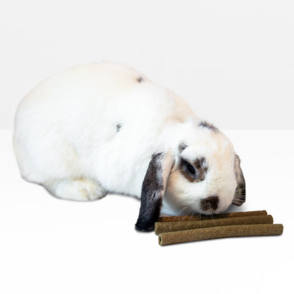 Timothy Stick Snacks (100g/3.5oz)