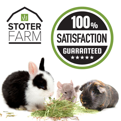 Stoter Farm Hay – Premium Timothy Hay (5.6kg/200oz)