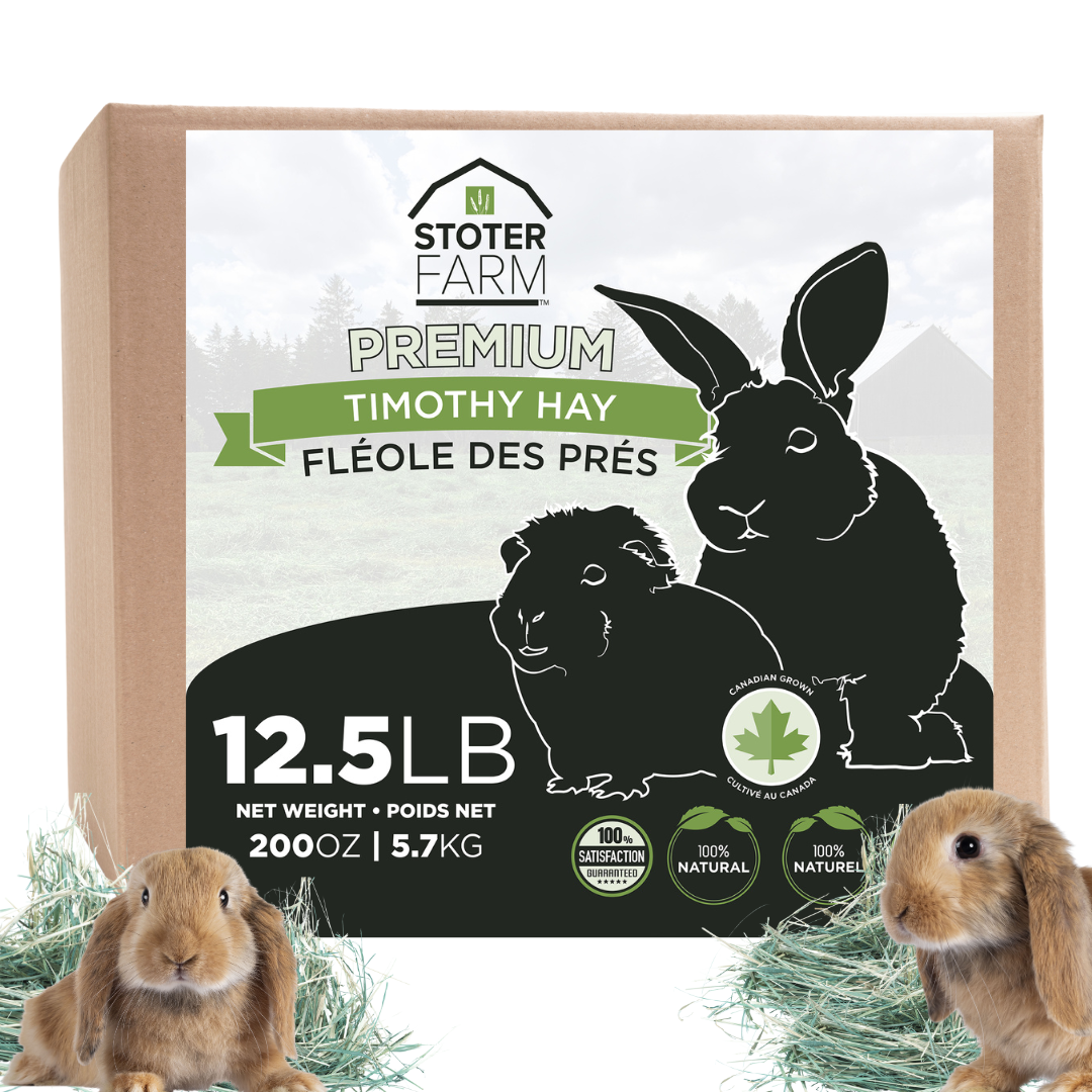 Stoter Farm Premium Timothy Hay Pet Food for Rabbits Guinea Pigs Chinchilla and Other Small Pets…