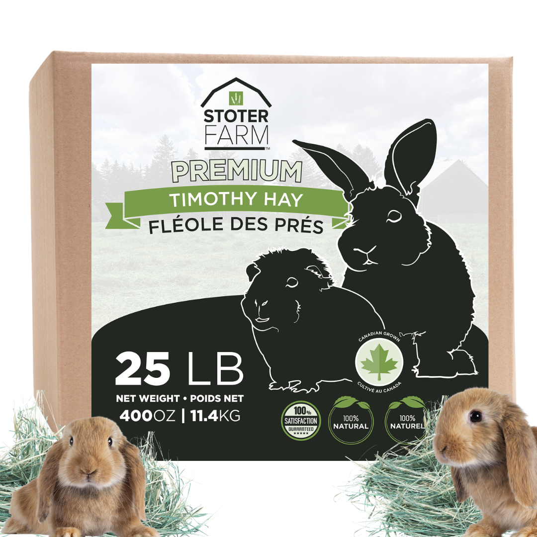 Bulk buy hot sale hay for rabbits