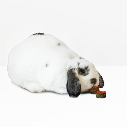 Mini Carrot Cookie Treats (100g/3.5oz)