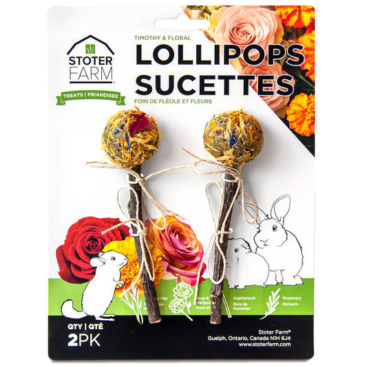 Floral Lollipop Treats (2pk)