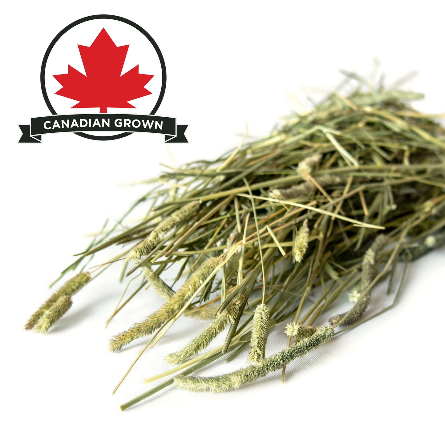 Stoter Farm Hay – Premium Timothy Hay (2.8kg/100oz)
