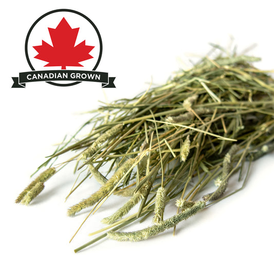 Stoter Farm Hay – Premium Timothy Hay (11.2kg/400oz)