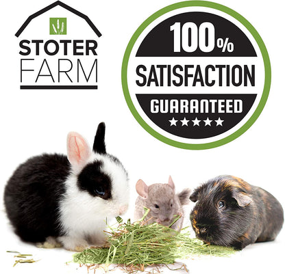 Stoter Farm Hay - Premium Timothy Hay (11.4kg/400oz Box)
