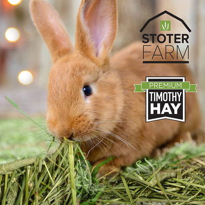 Stoter Farm Hay – Premium Timothy Hay (5.6kg/200oz Box)
