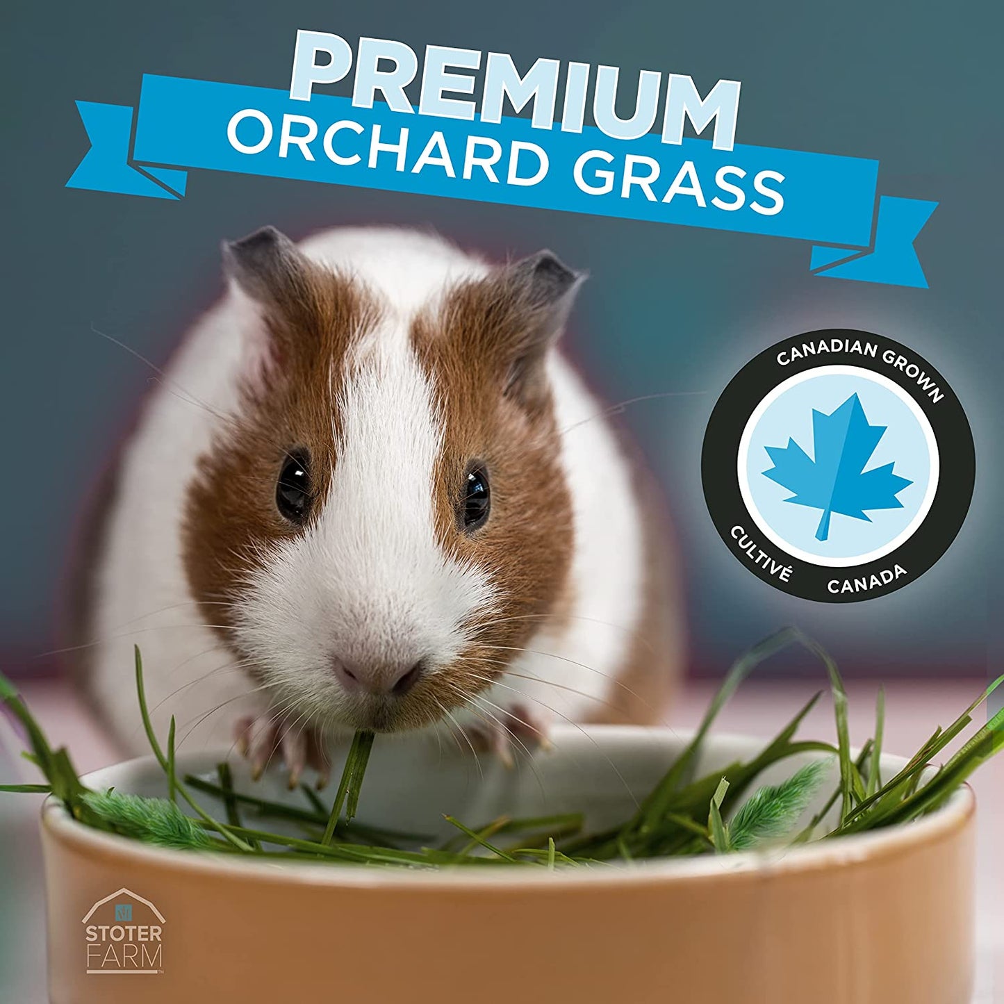 Stoter Farm Premium Orchard Grass Hay - 2.8 Kg Bag