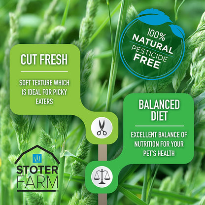 Stoter Farm Hay – Premium Orchard Grass (100oz/2.8kg)
